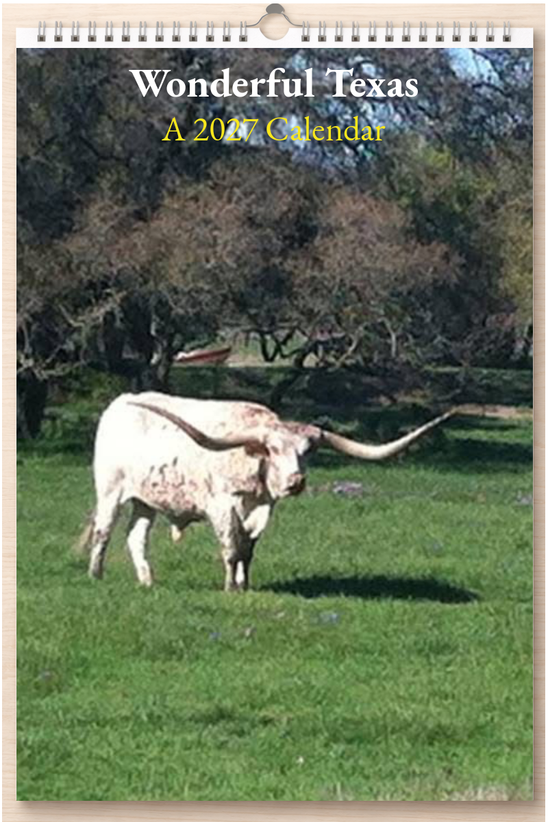Wonderful Texas: A 2027 Calendar