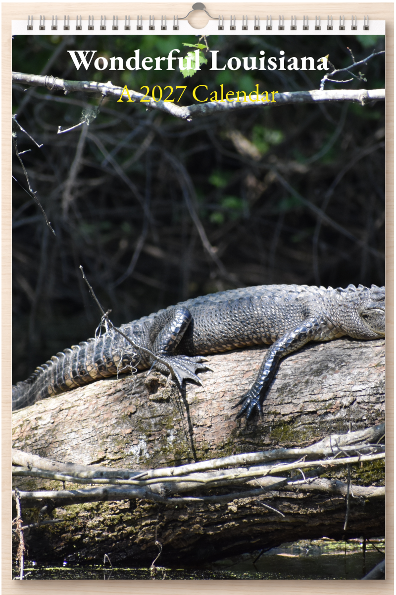 Wonderful Louisiana: A 2027 Calendar