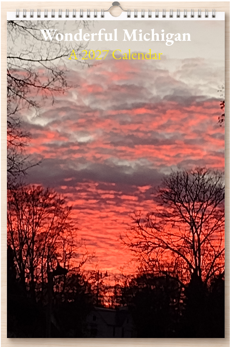 Wonderful Michigan: A 2027 Calendar