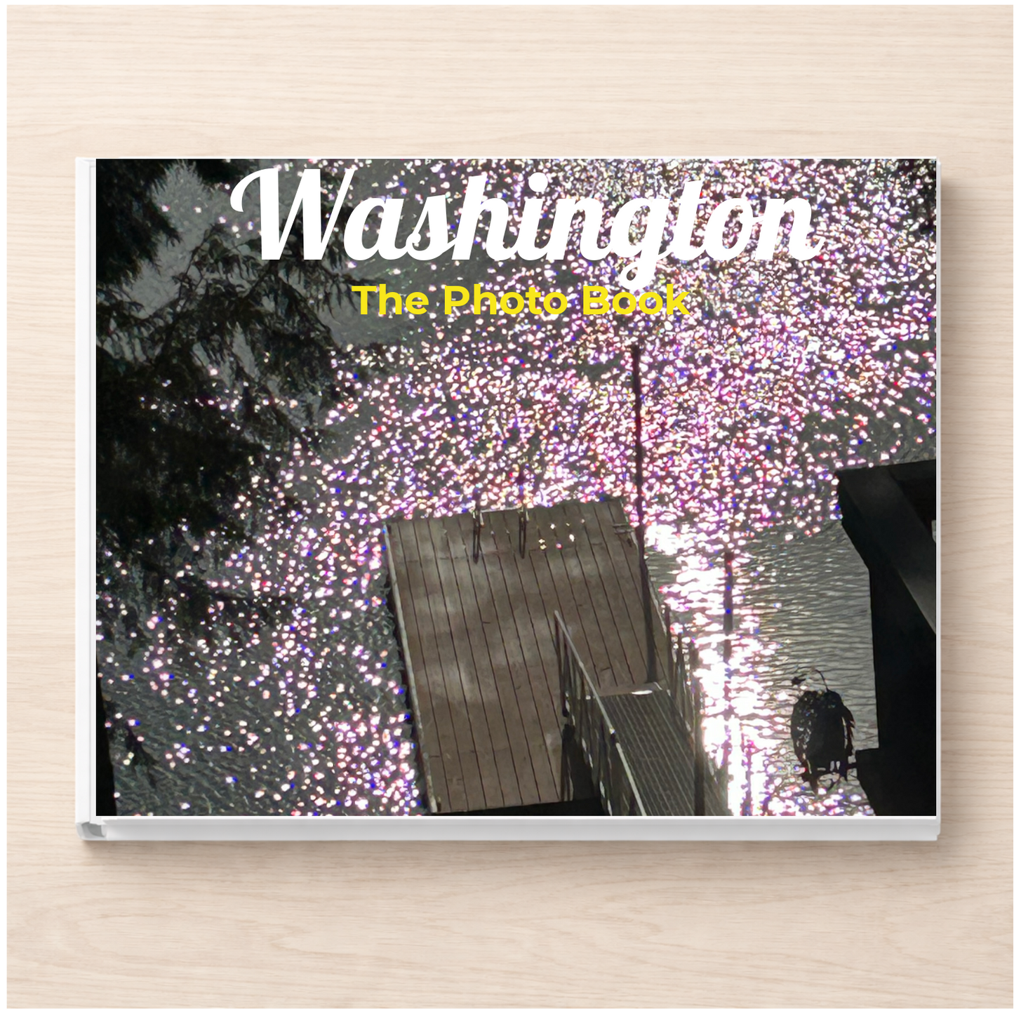 Washington: The Photo Book