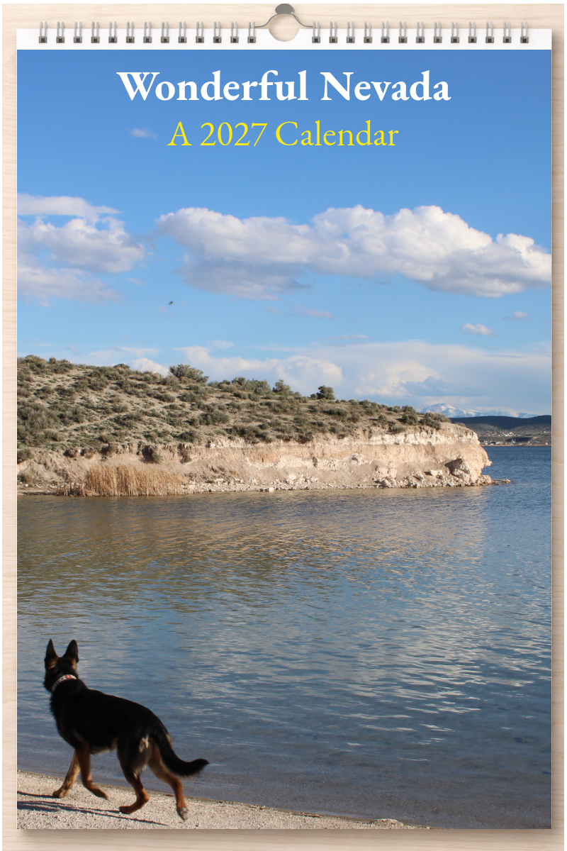 Wonderful Nevada: A 2027 Calendar