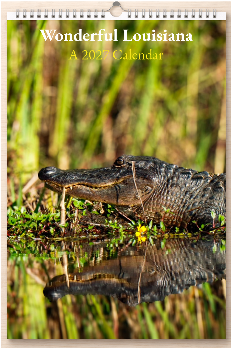 Wonderful Louisiana: A 2027 Calendar