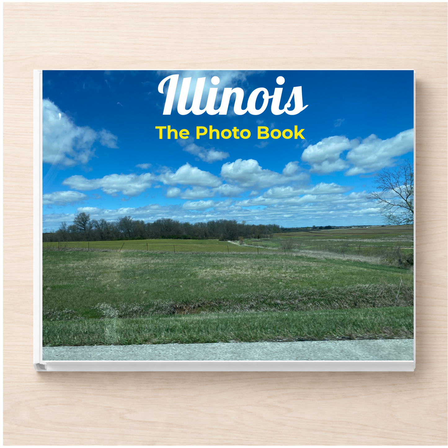 Illinois: The Photo Book