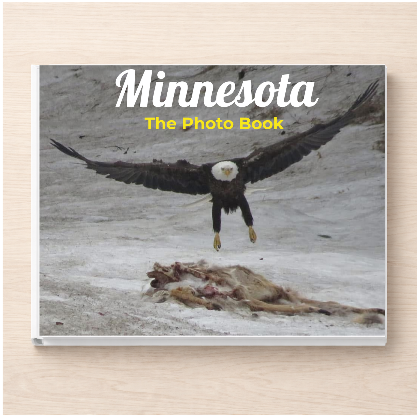 Minnesota: The Photo Book
