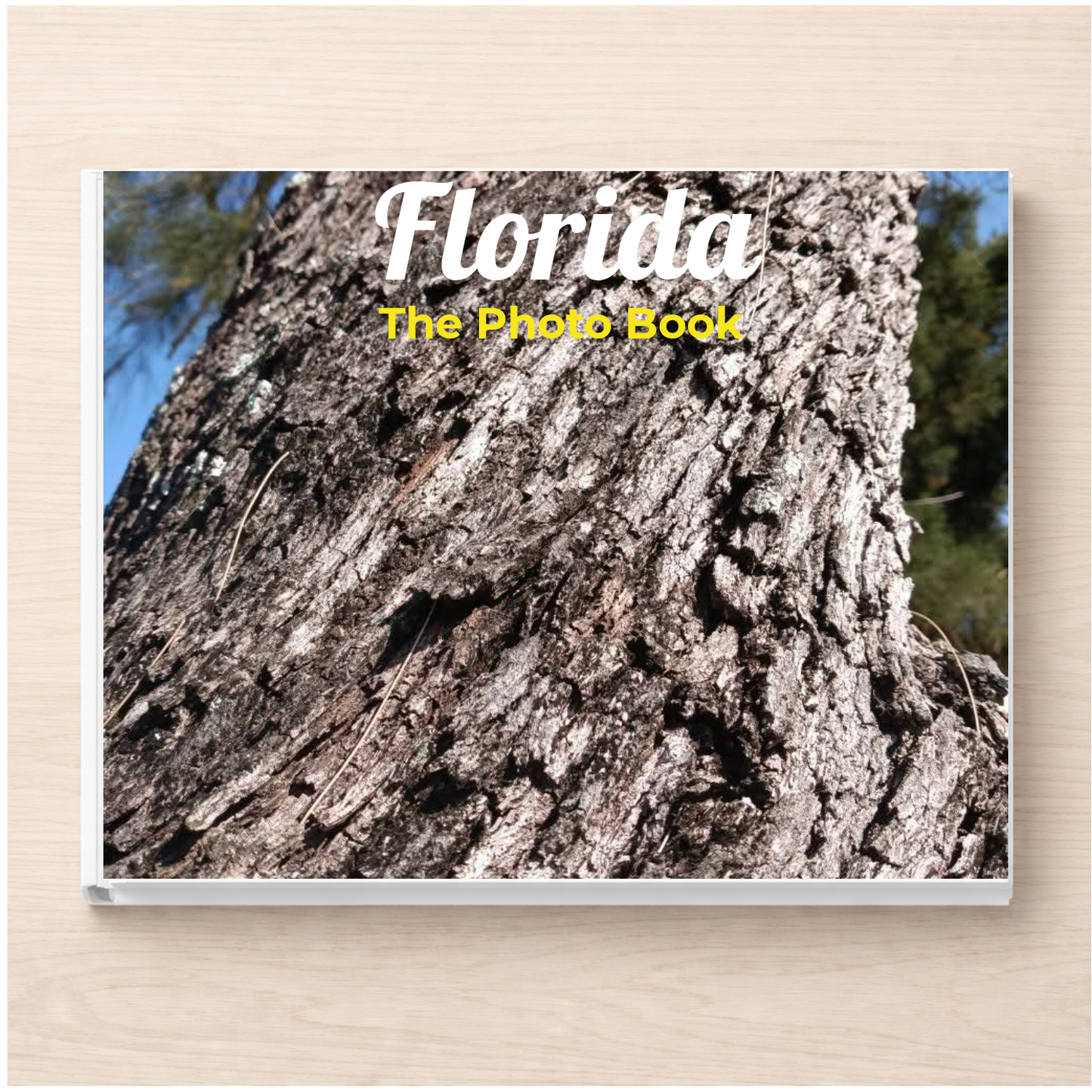 Florida: The Photo Book