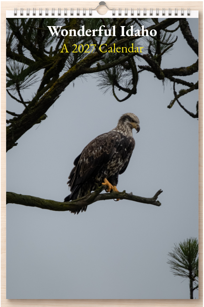 Wonderful Idaho: A 2027 Calendar