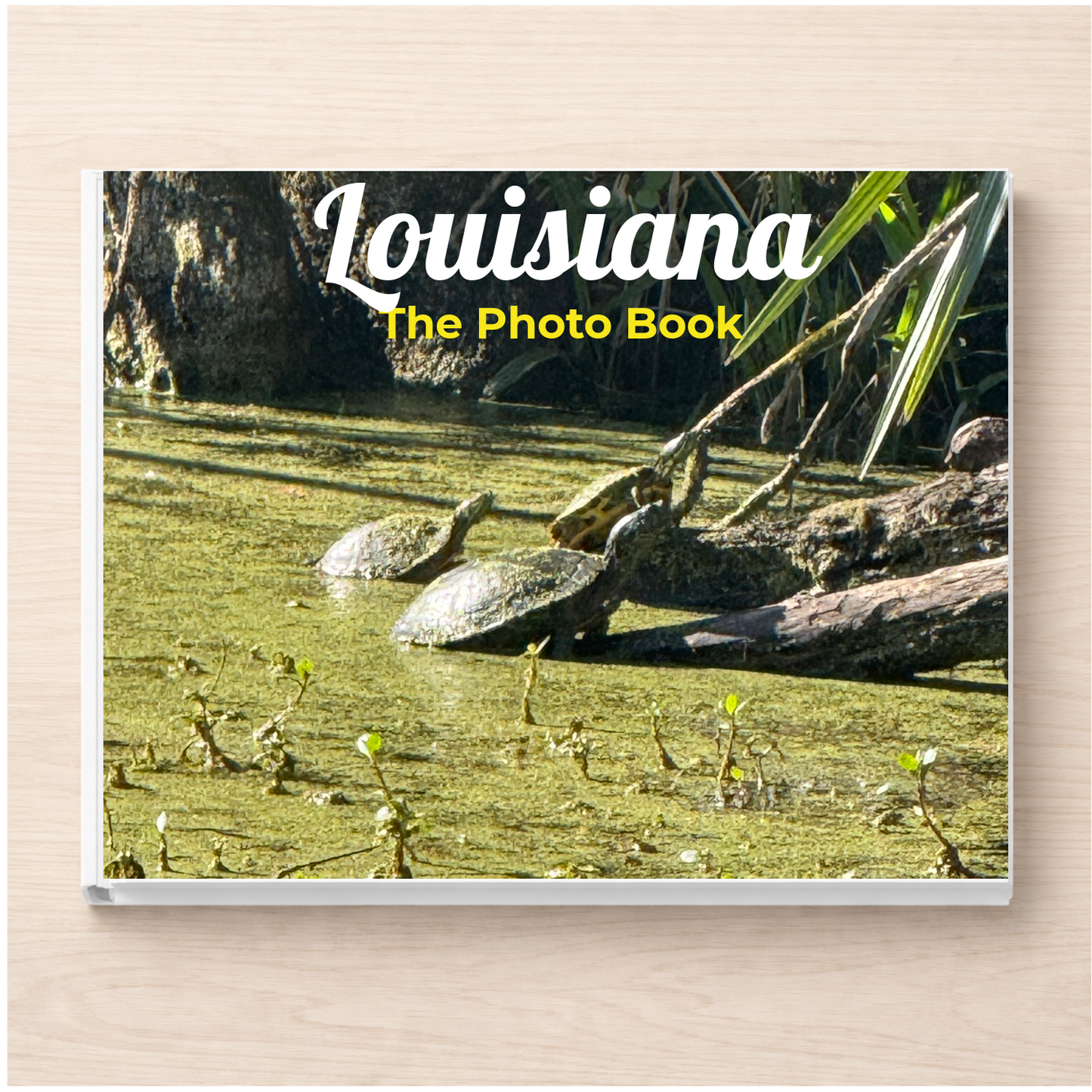 Louisiana: The Photo Book