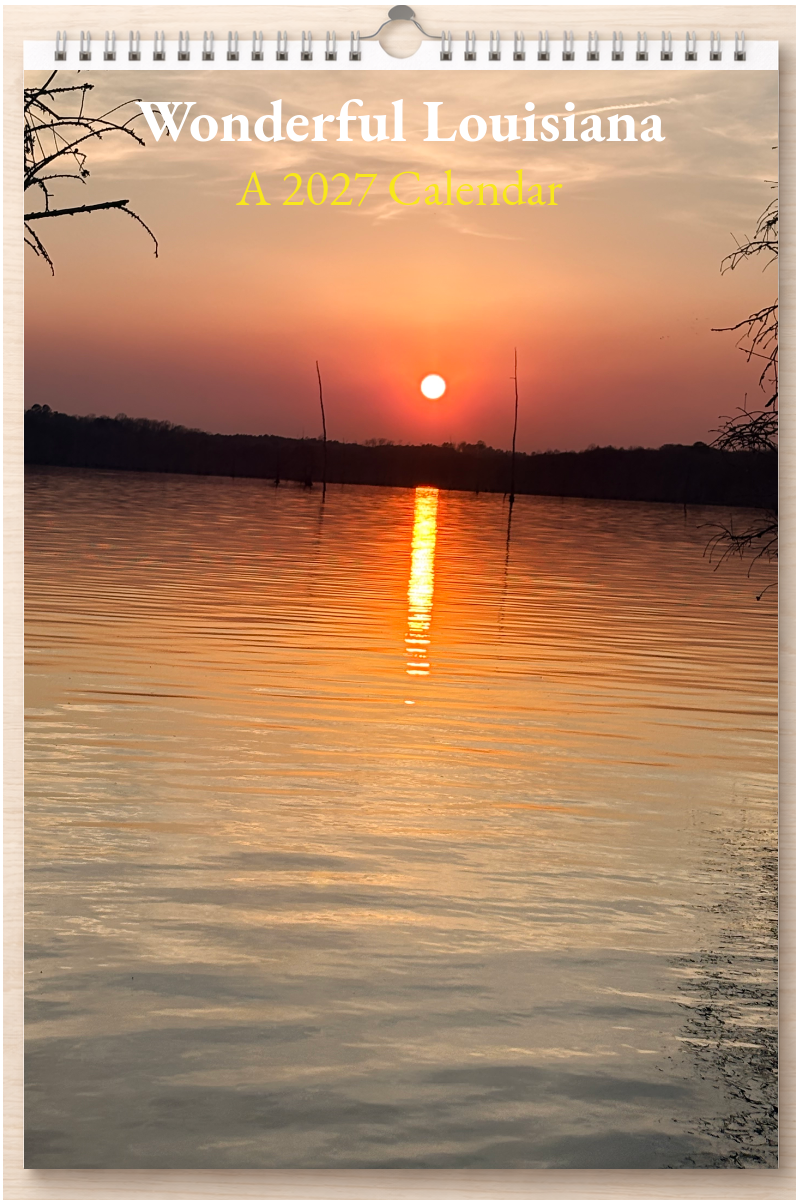 Wonderful Louisiana: A 2027 Calendar
