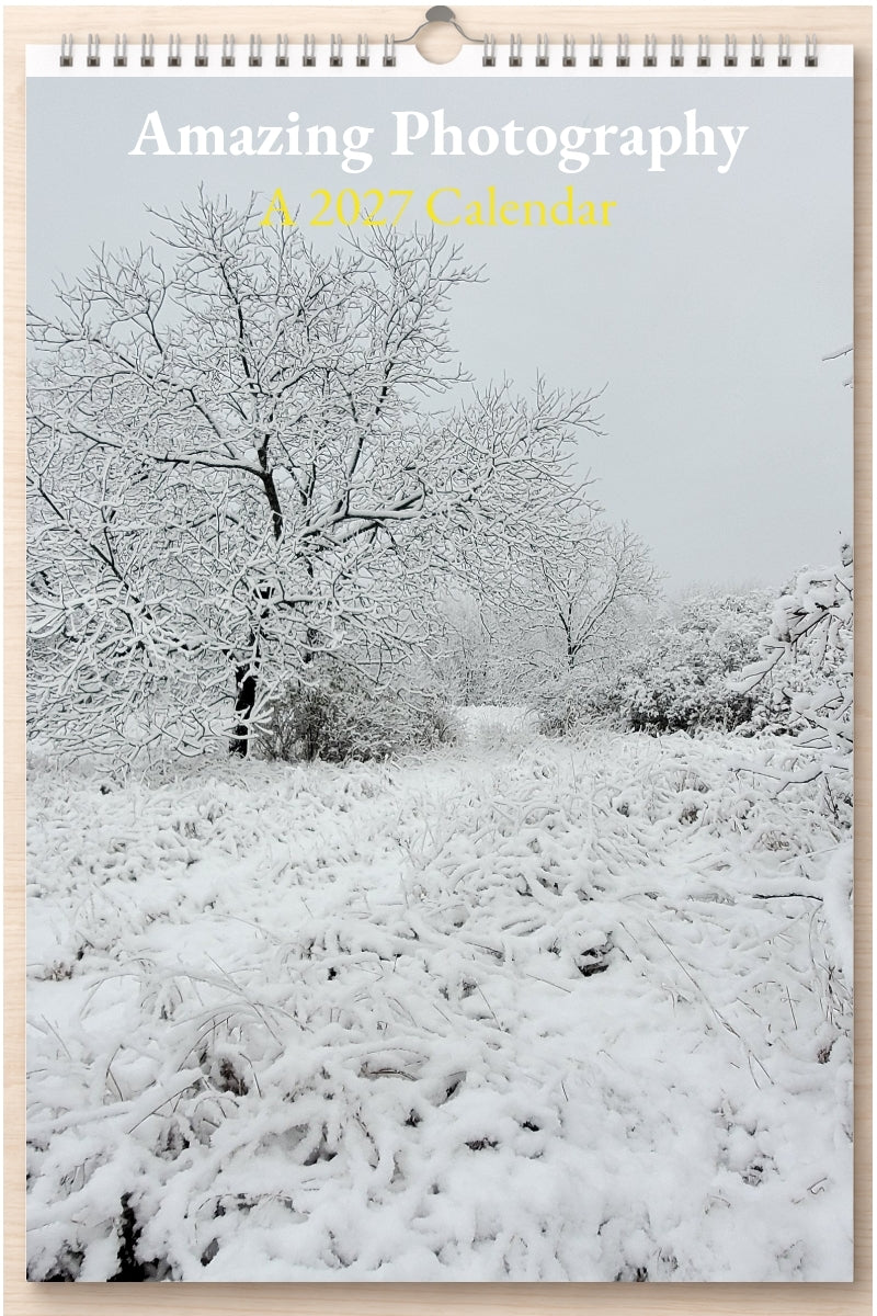 Amazing Photography: A 2027 Calendar