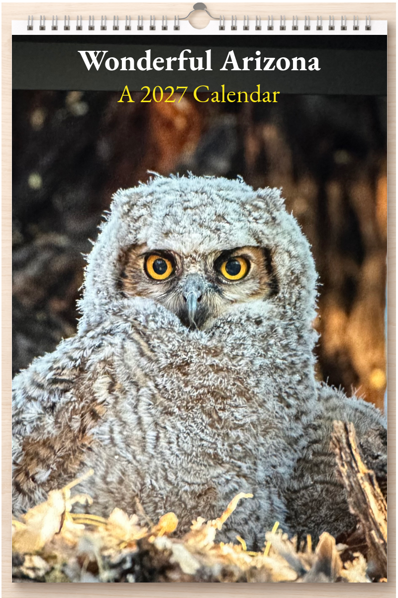 Wonderful Arizona: A 2027 Calendar