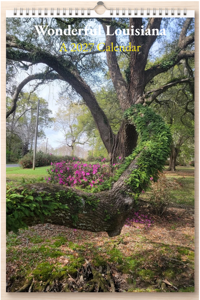 Wonderful Louisiana: A 2027 Calendar