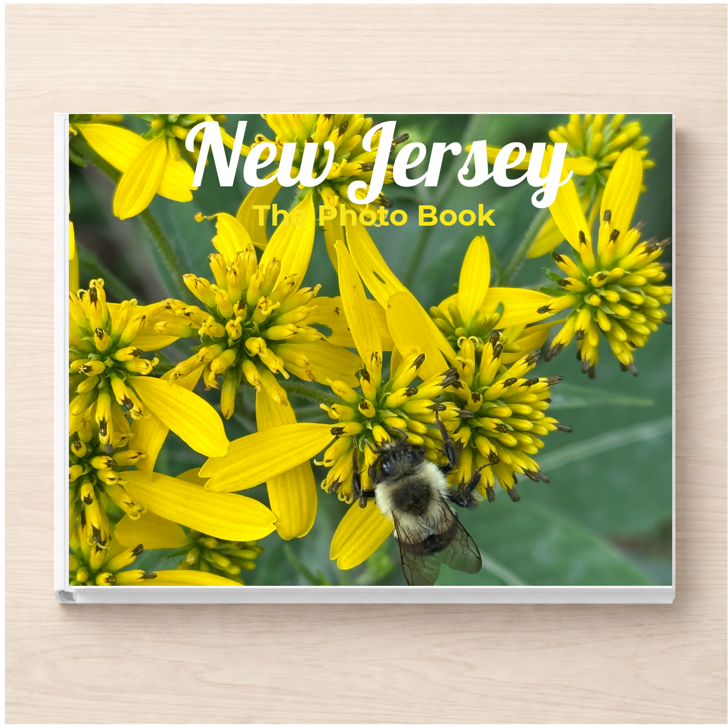 New Jersey: The Photo Book