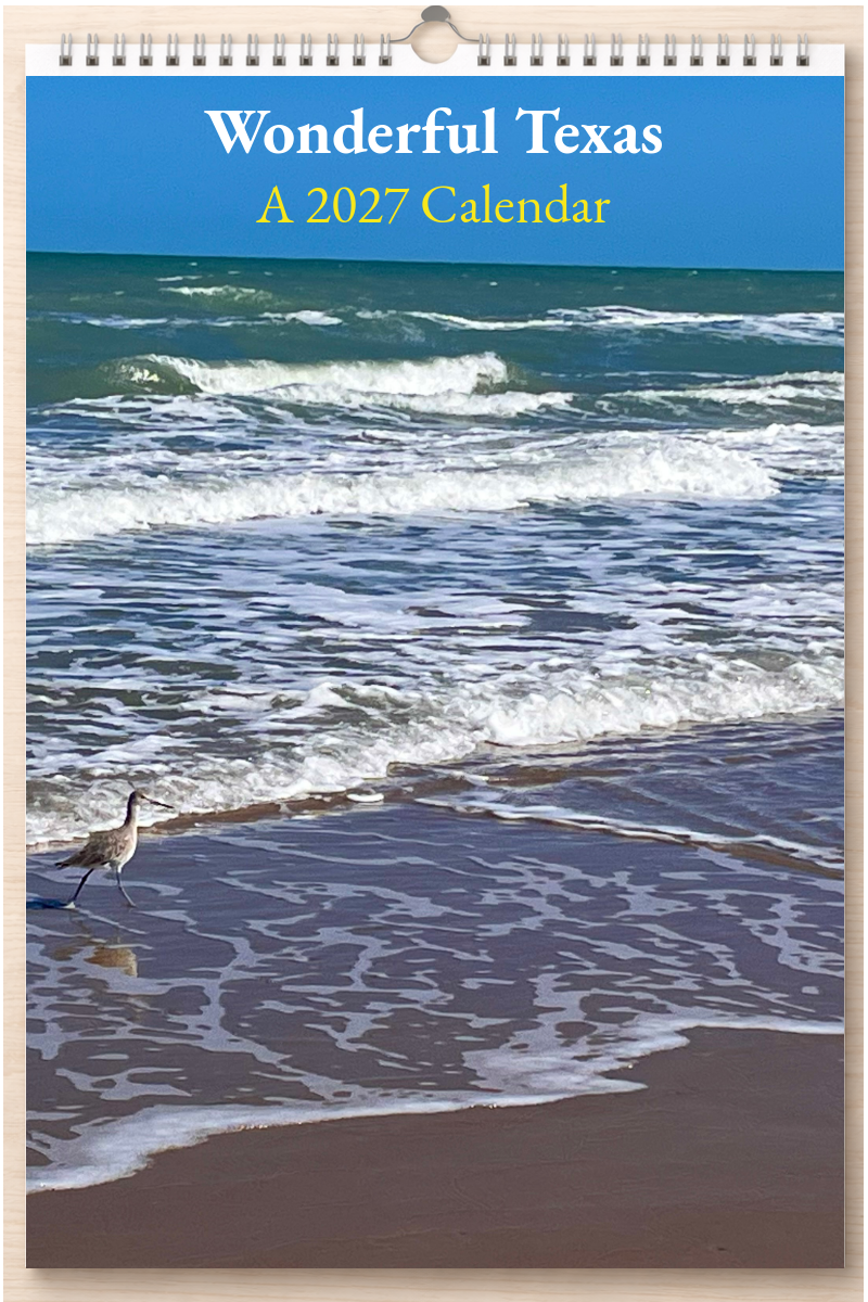 Wonderful Texas: A 2027 Calendar