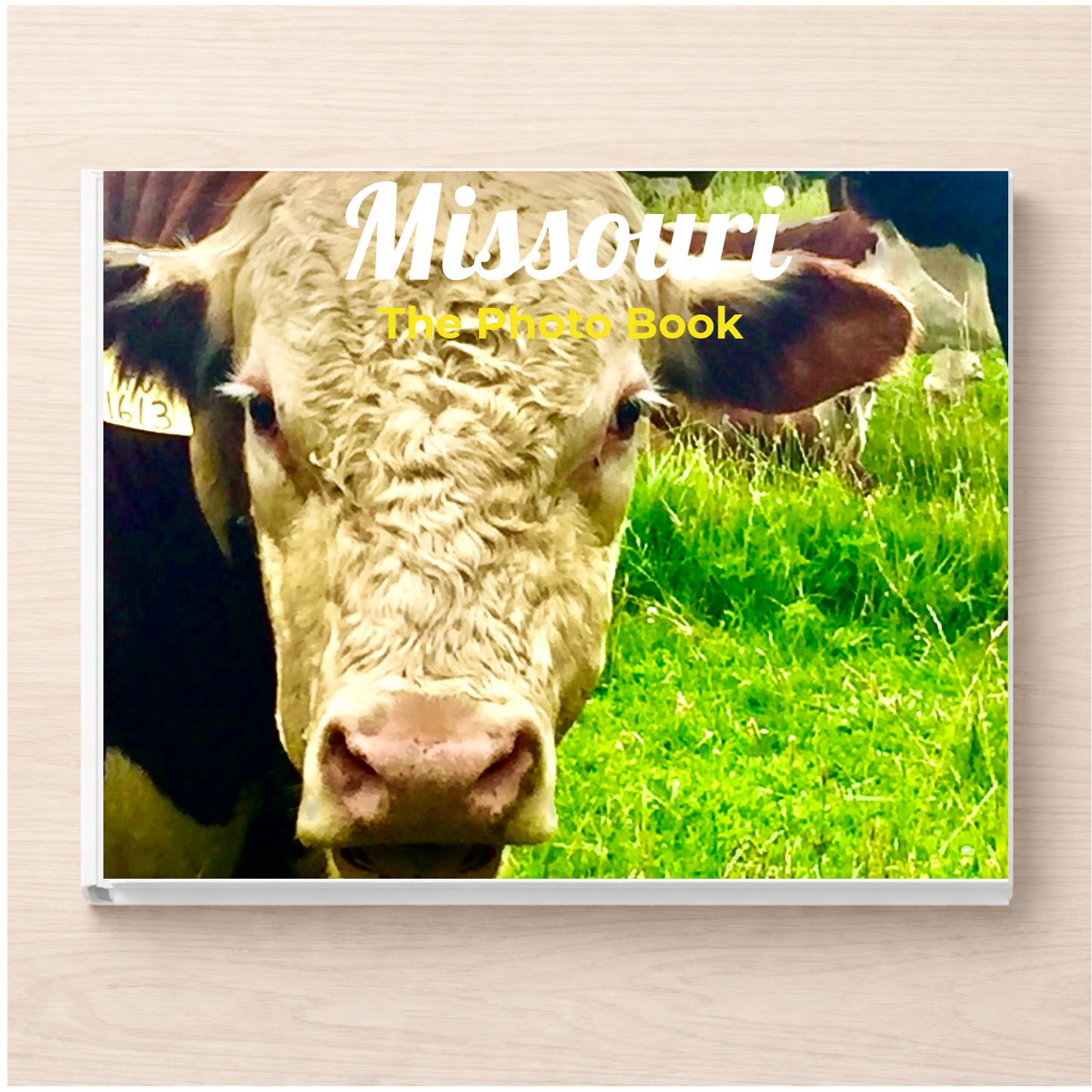 Missouri: The Photo Book