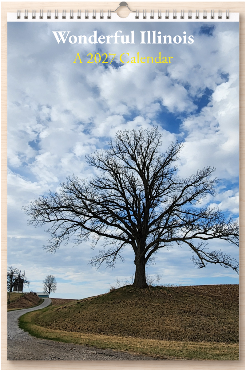 Wonderful Illinois: A 2027 Calendar