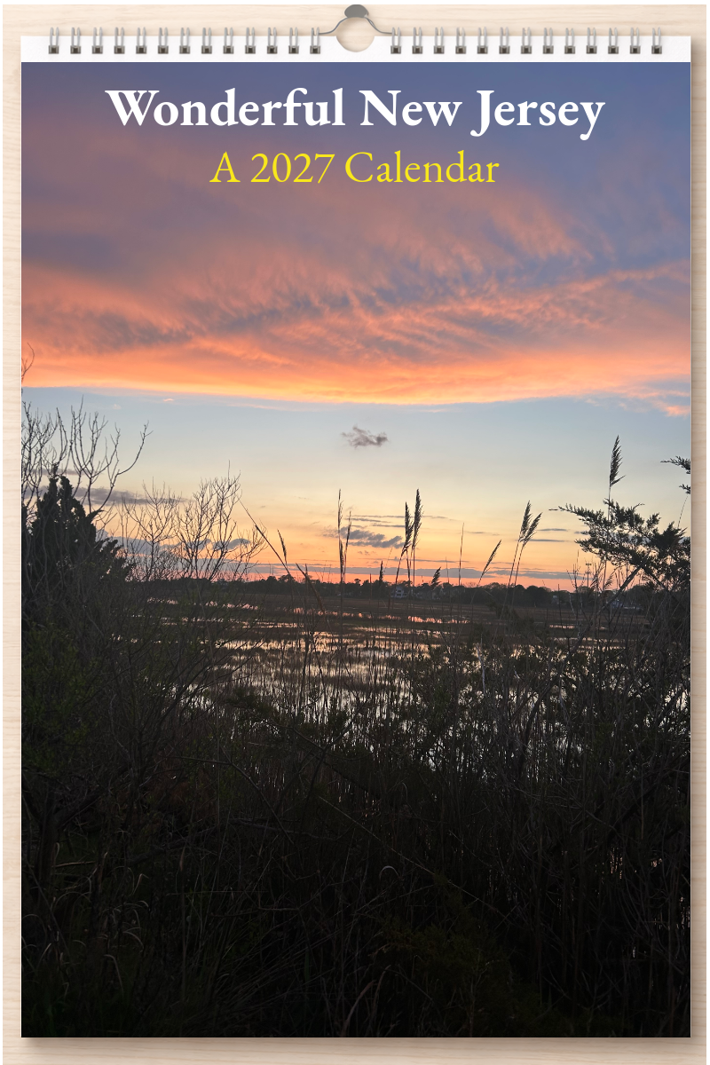 Wonderful New Jersey: A 2027 Calendar