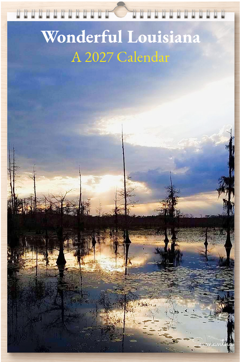 Wonderful Louisiana: A 2027 Calendar