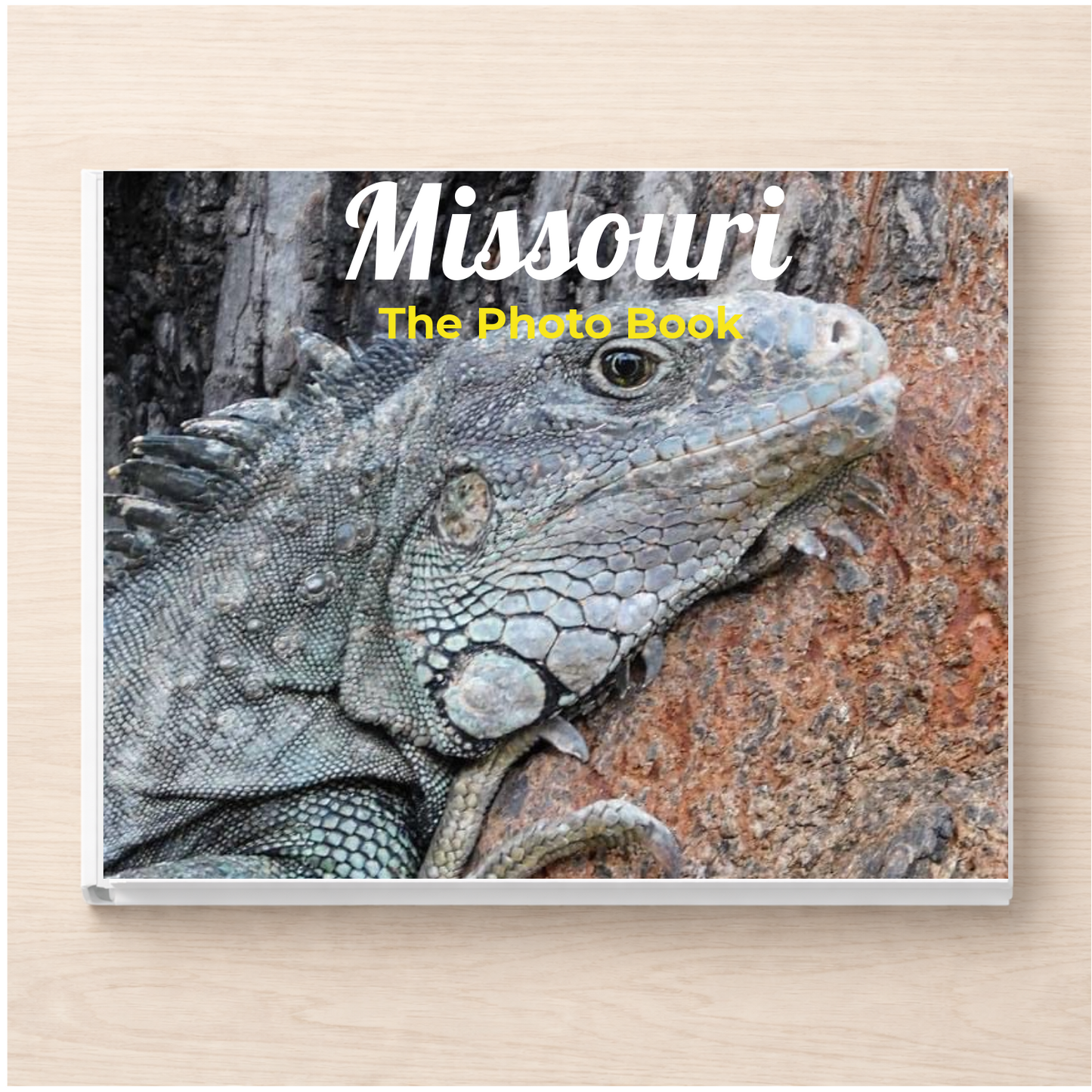 Missouri: The Photo Book