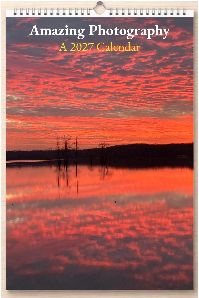 Amazing Photography: A 2027 Calendar