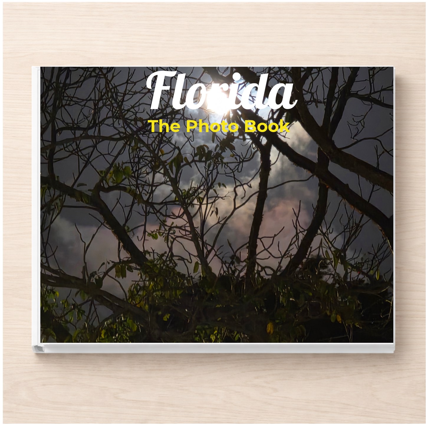 Florida: The Photo Book
