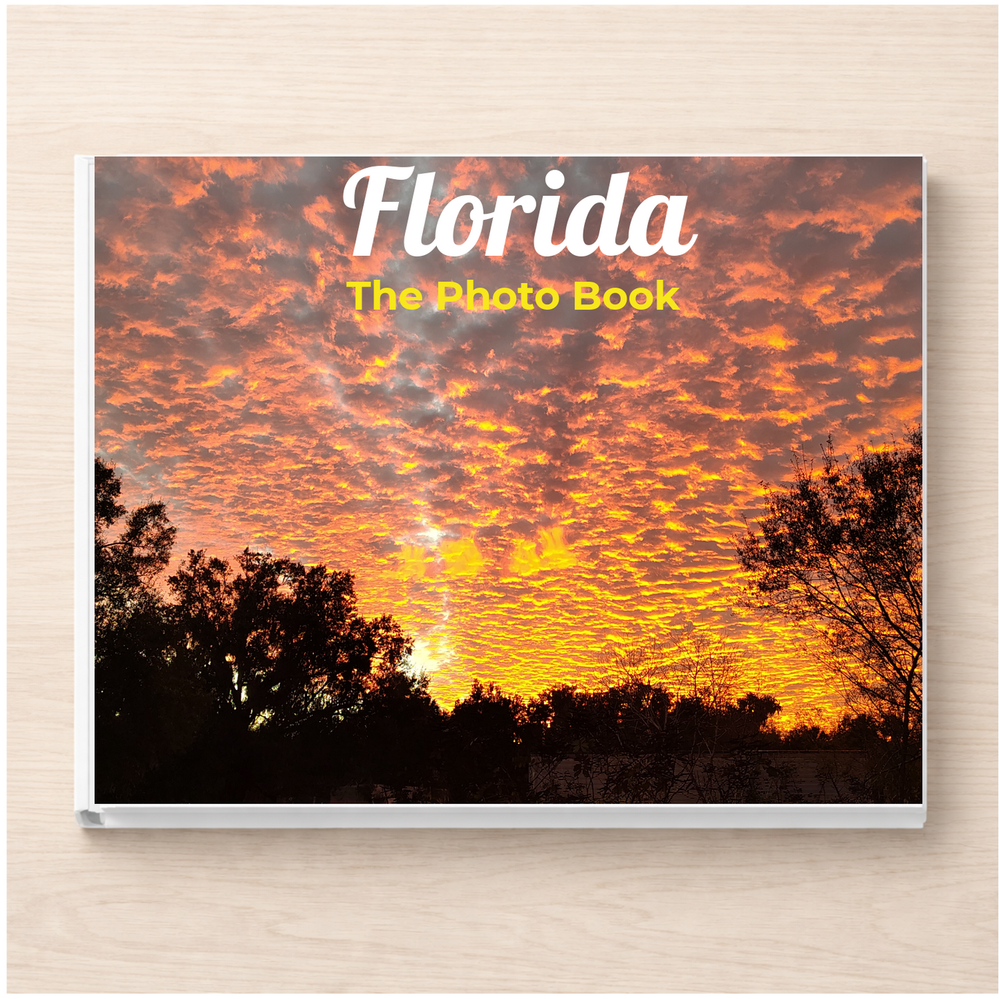 Florida: The Photo Book