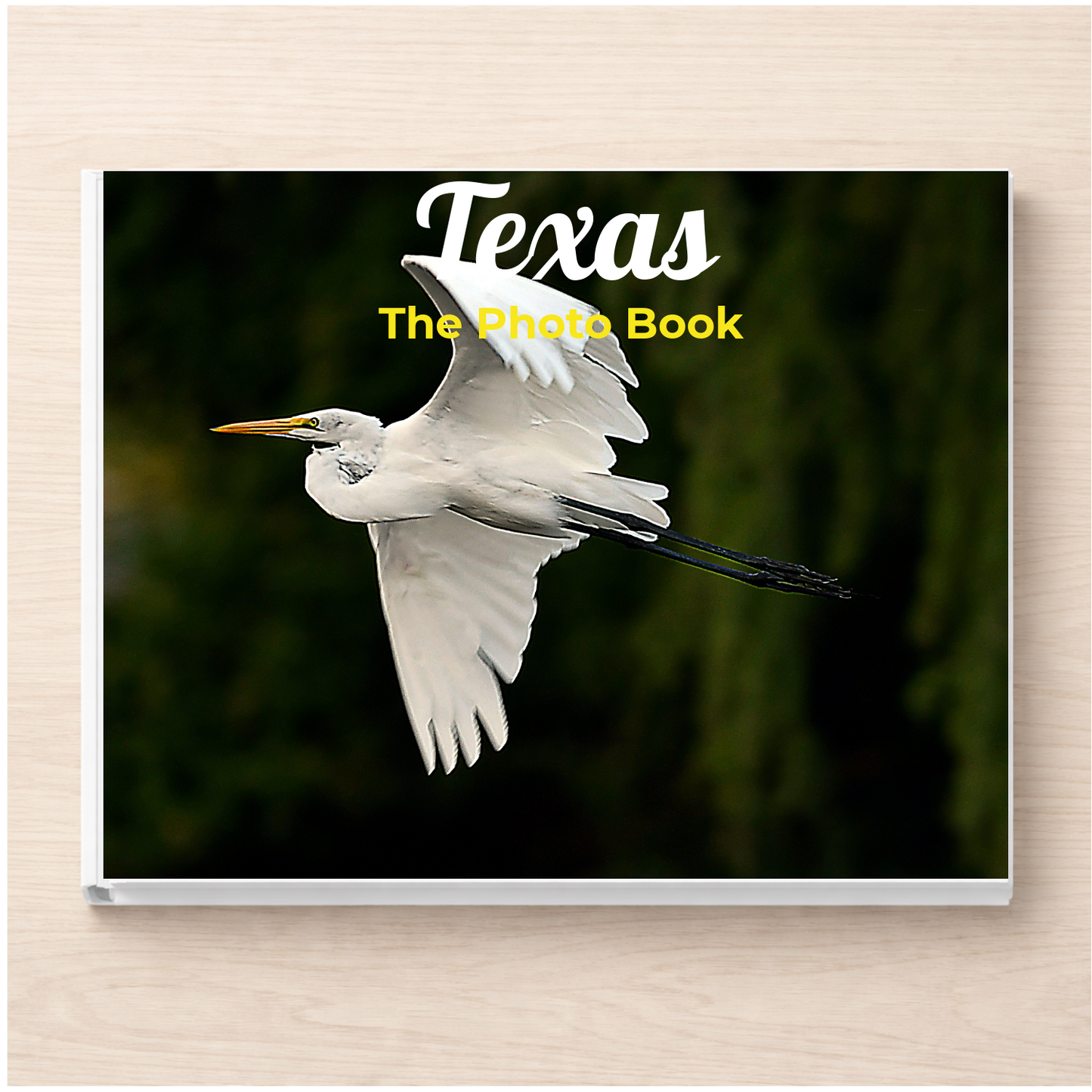 Texas: The Photo Book