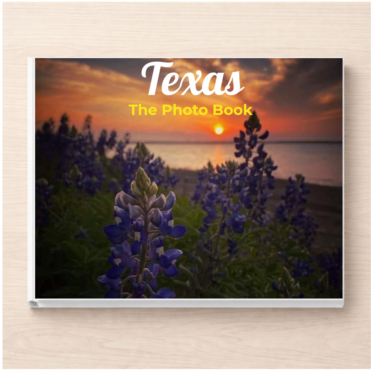 Texas: The Photo Book