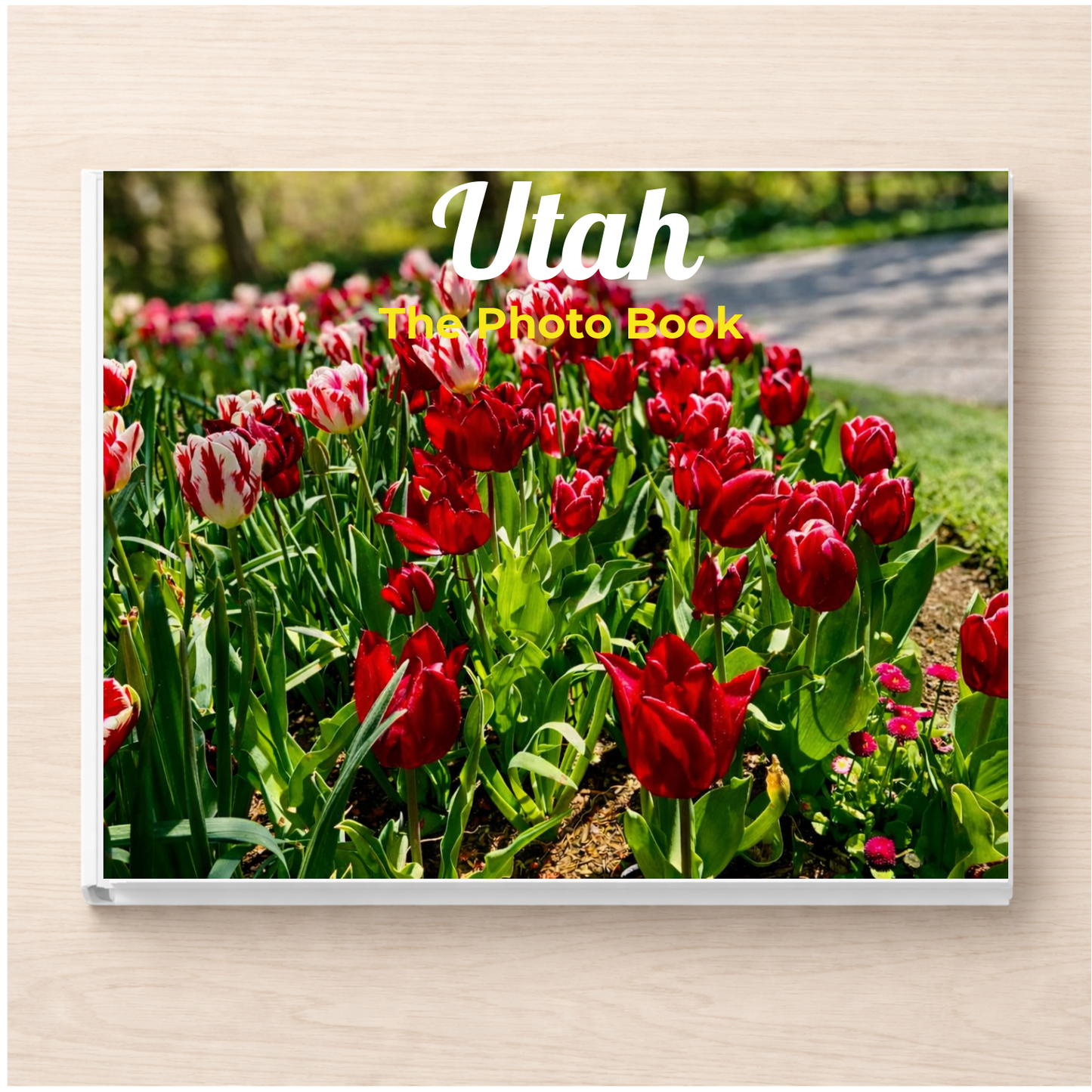 Utah: The Photo Book