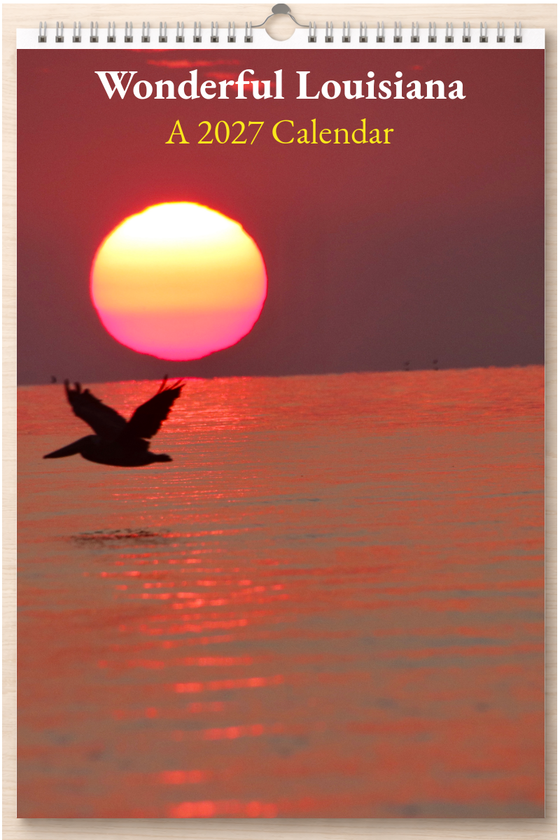 Wonderful Louisiana: A 2027 Calendar