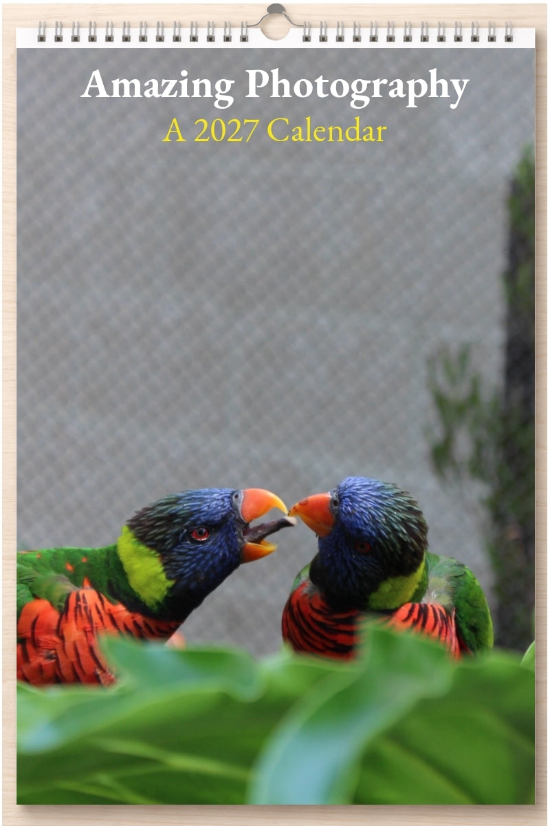 Amazing Photography: A 2027 Calendar