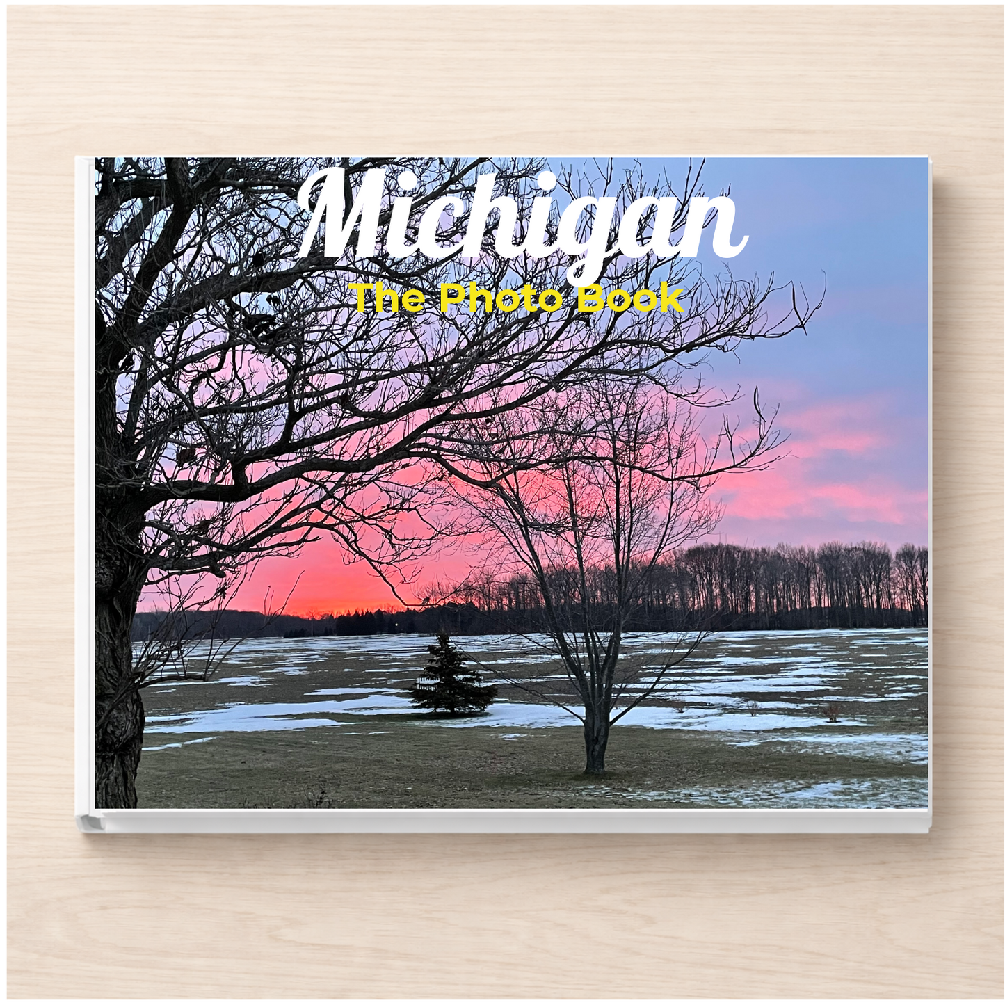 Michigan: The Photo Book