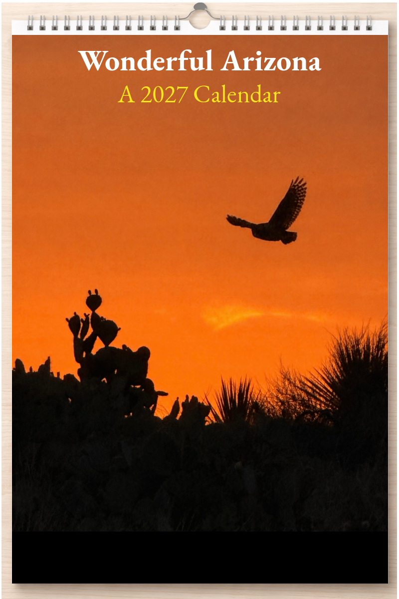 Wonderful Arizona: A 2027 Calendar