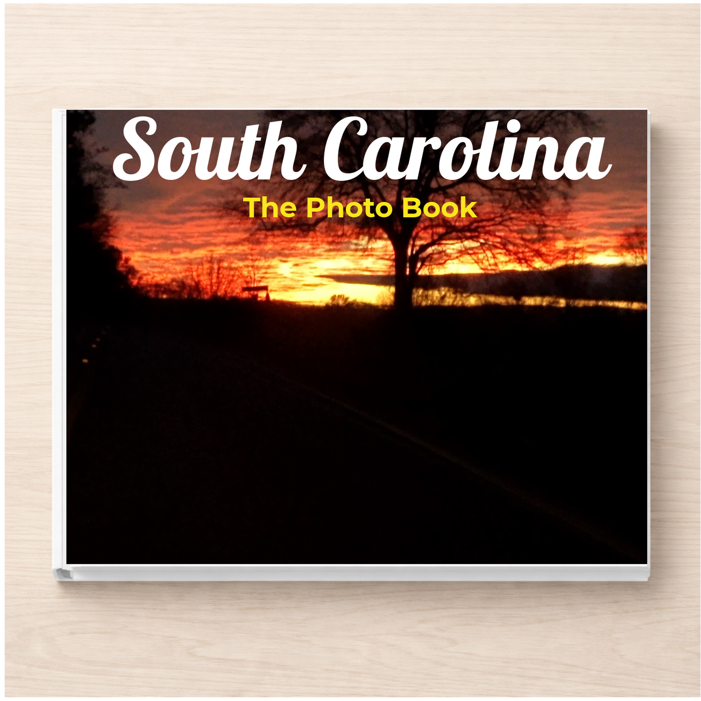 South Carolina: The Photo Book