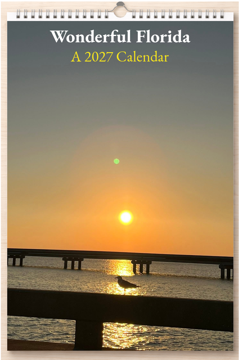 Wonderful Florida: A 2027 Calendar