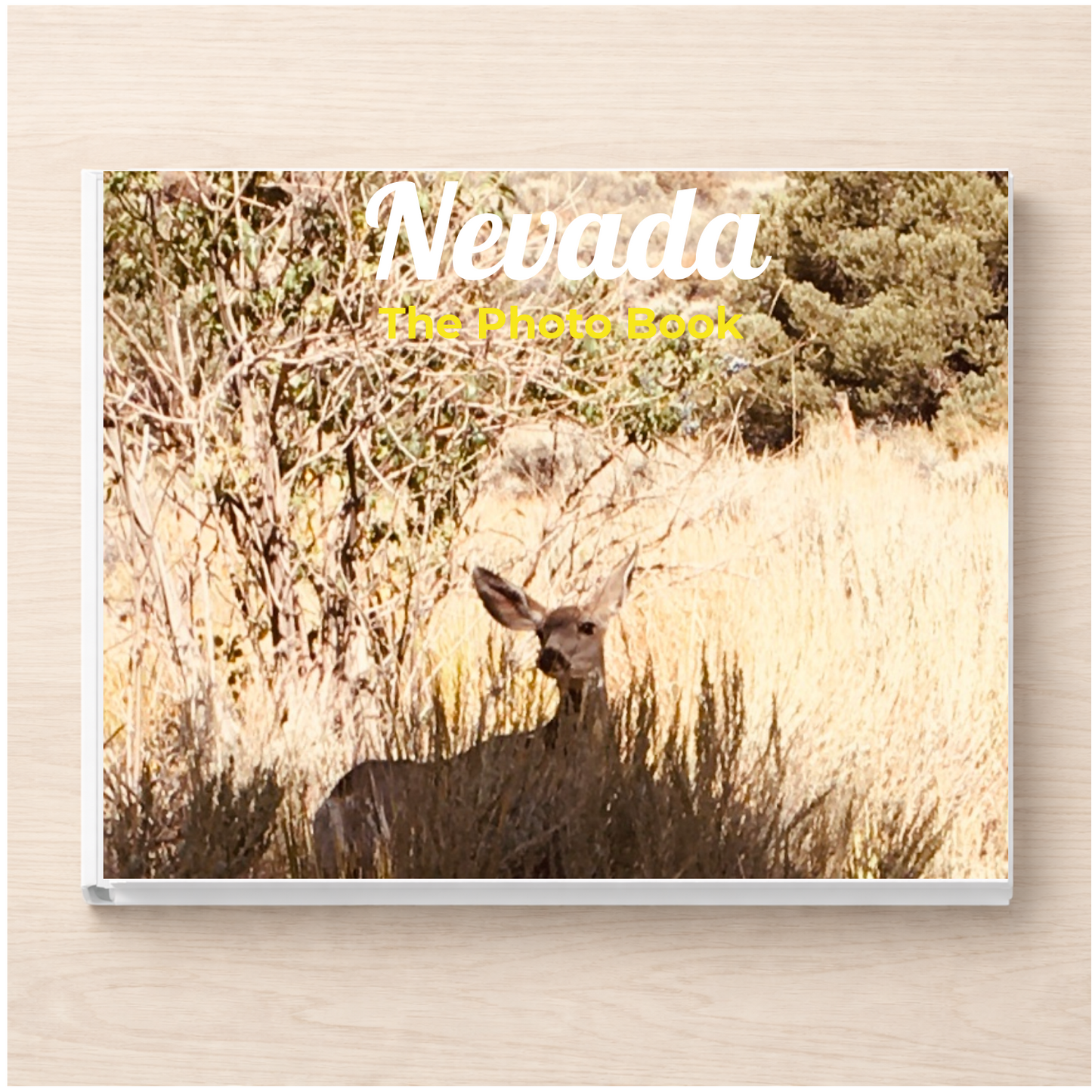 Nevada: The Photo Book