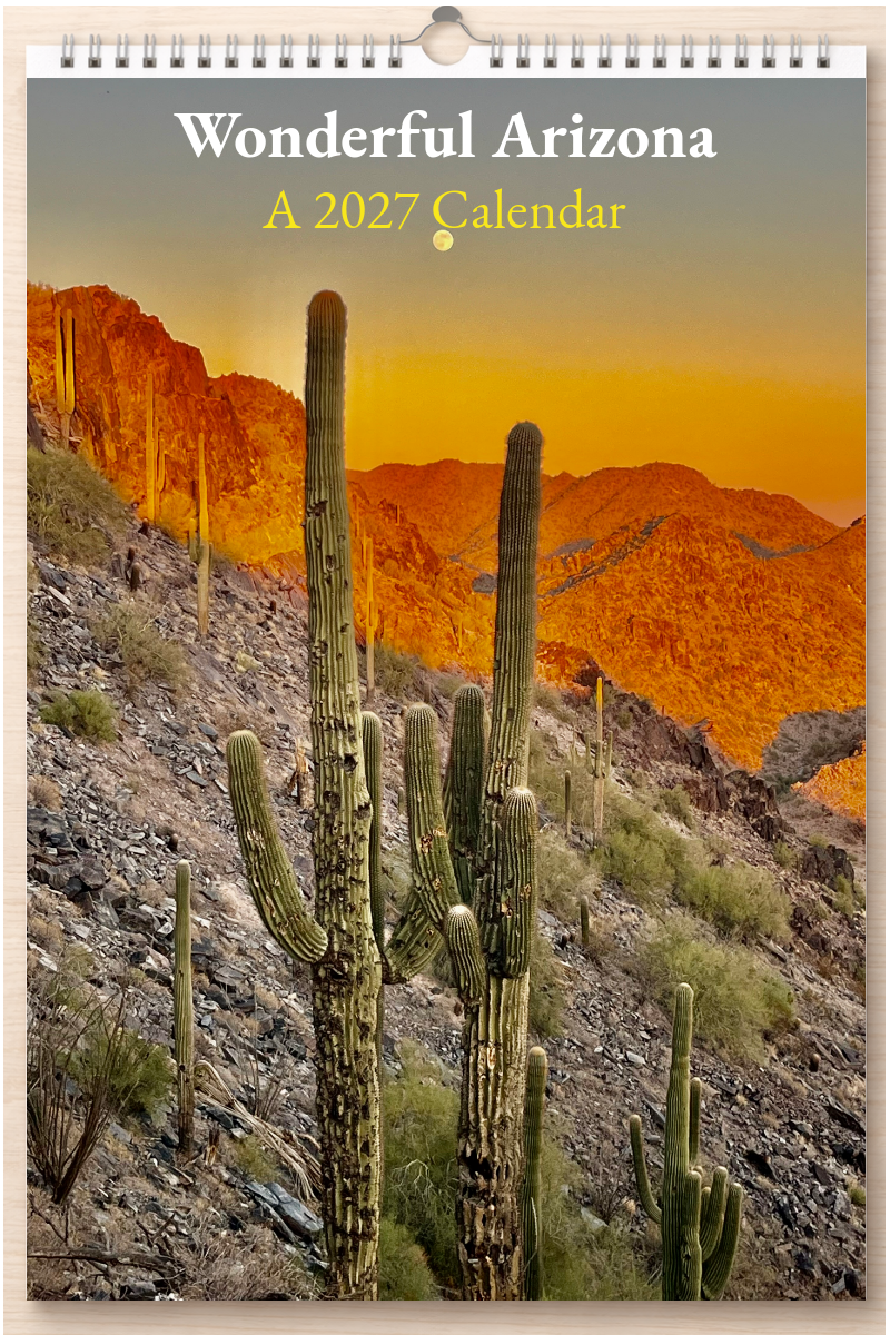 Wonderful Arizona: A 2027 Calendar