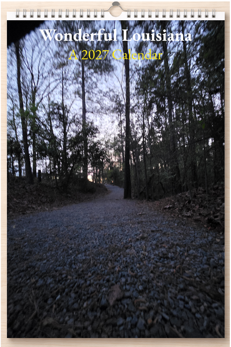 Wonderful Louisiana: A 2027 Calendar