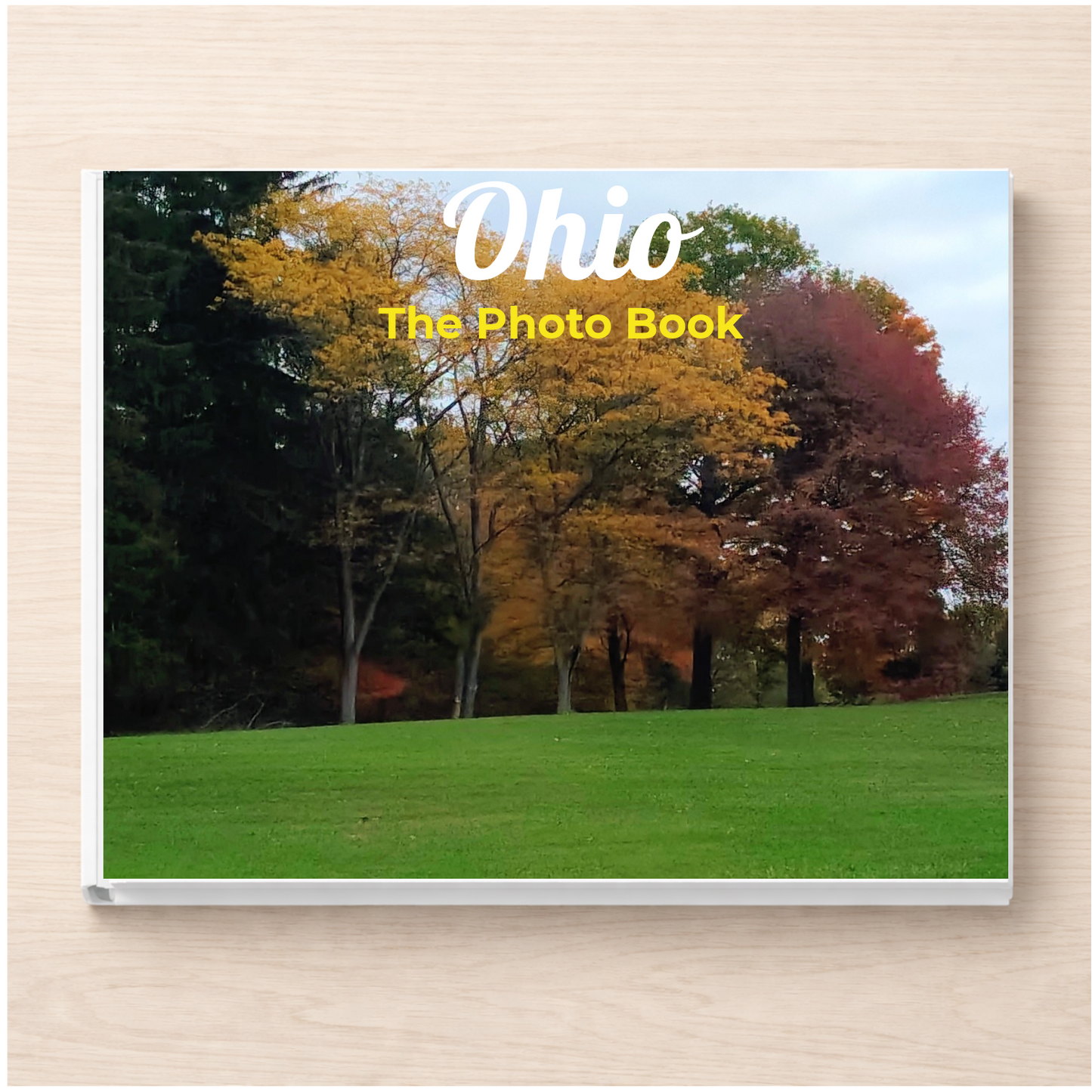 Ohio: The Photo Book
