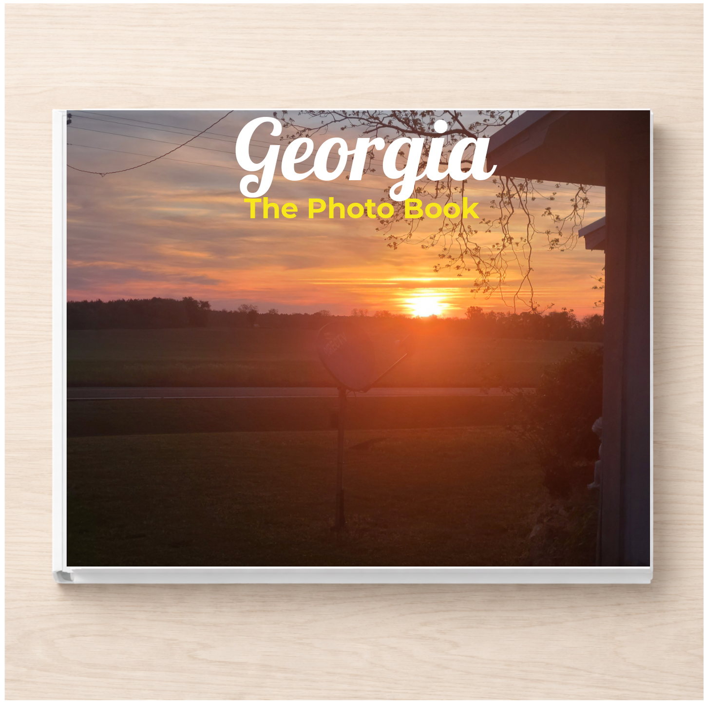 Georgia: The Photo Book