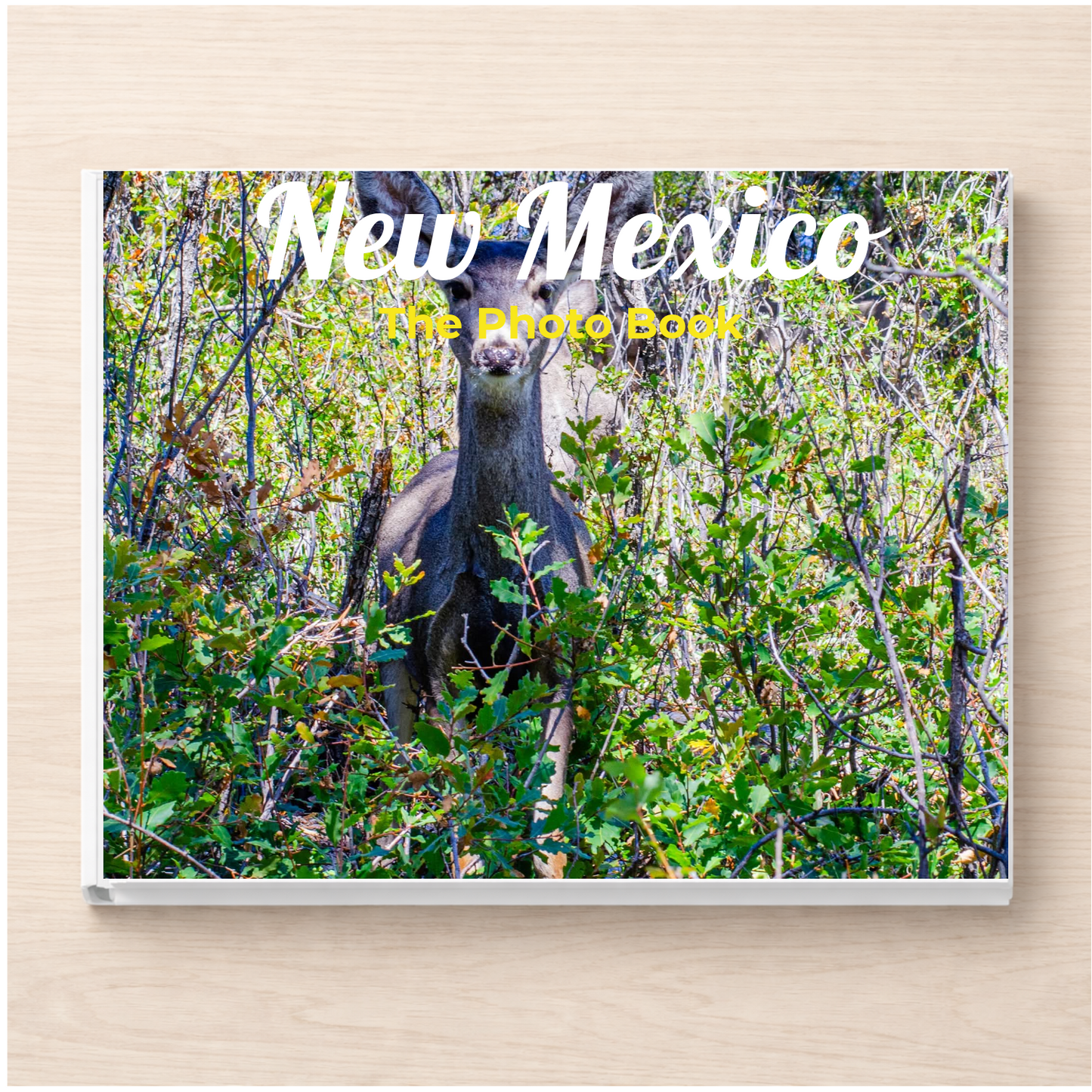 New Mexico: The Photo Book