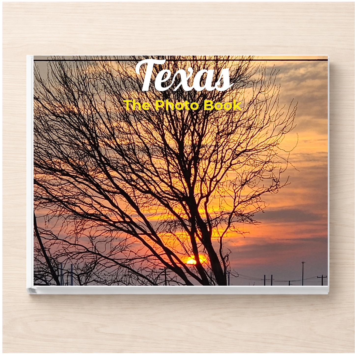 Texas: The Photo Book