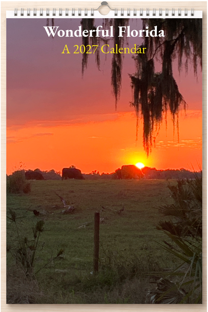 Wonderful Florida: A 2027 Calendar