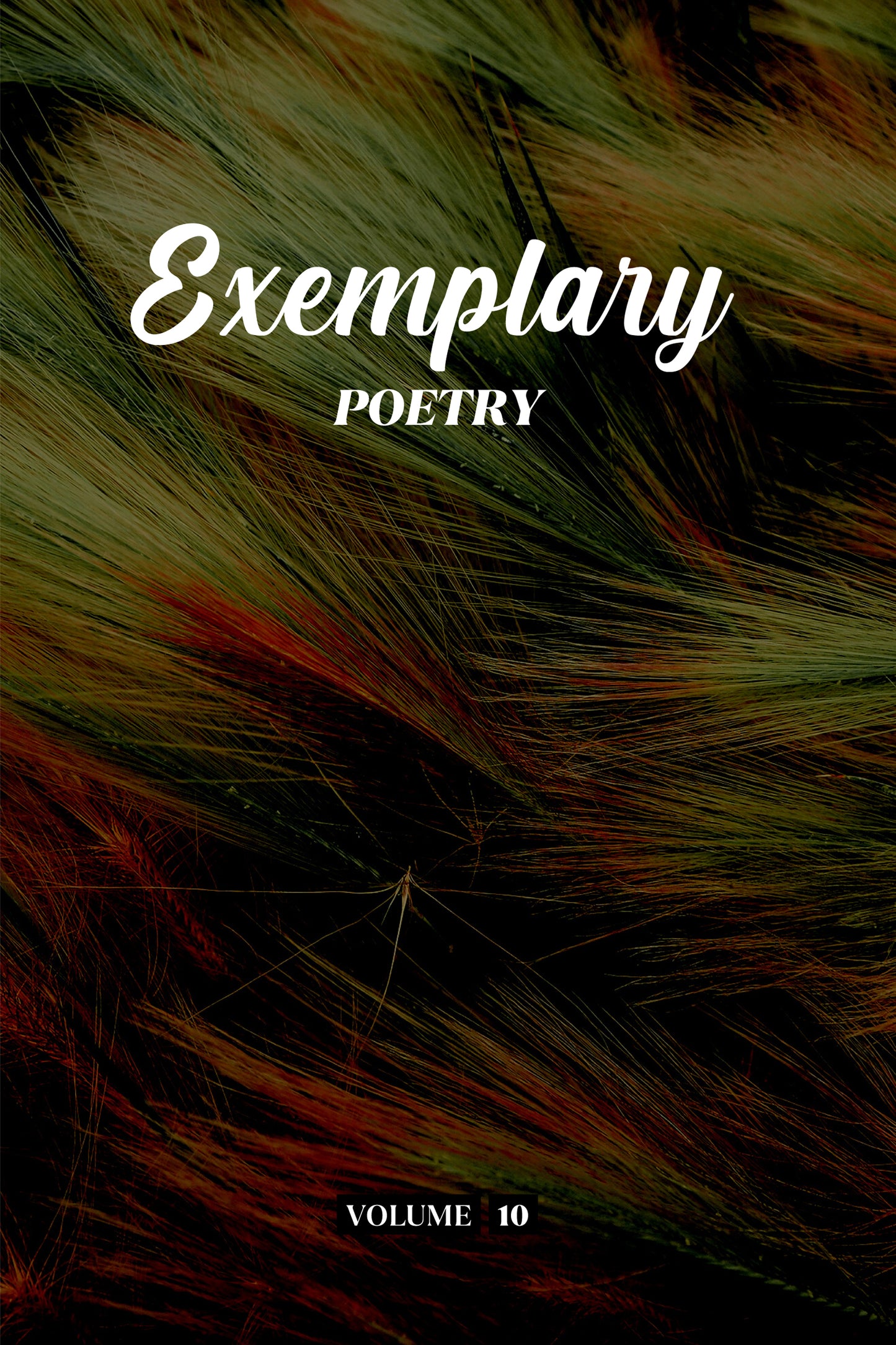 Exemplary Poetry (Volume 10) - Physical Book