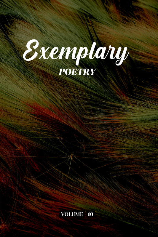 Exemplary Poetry (Volume 10) - Physical Book