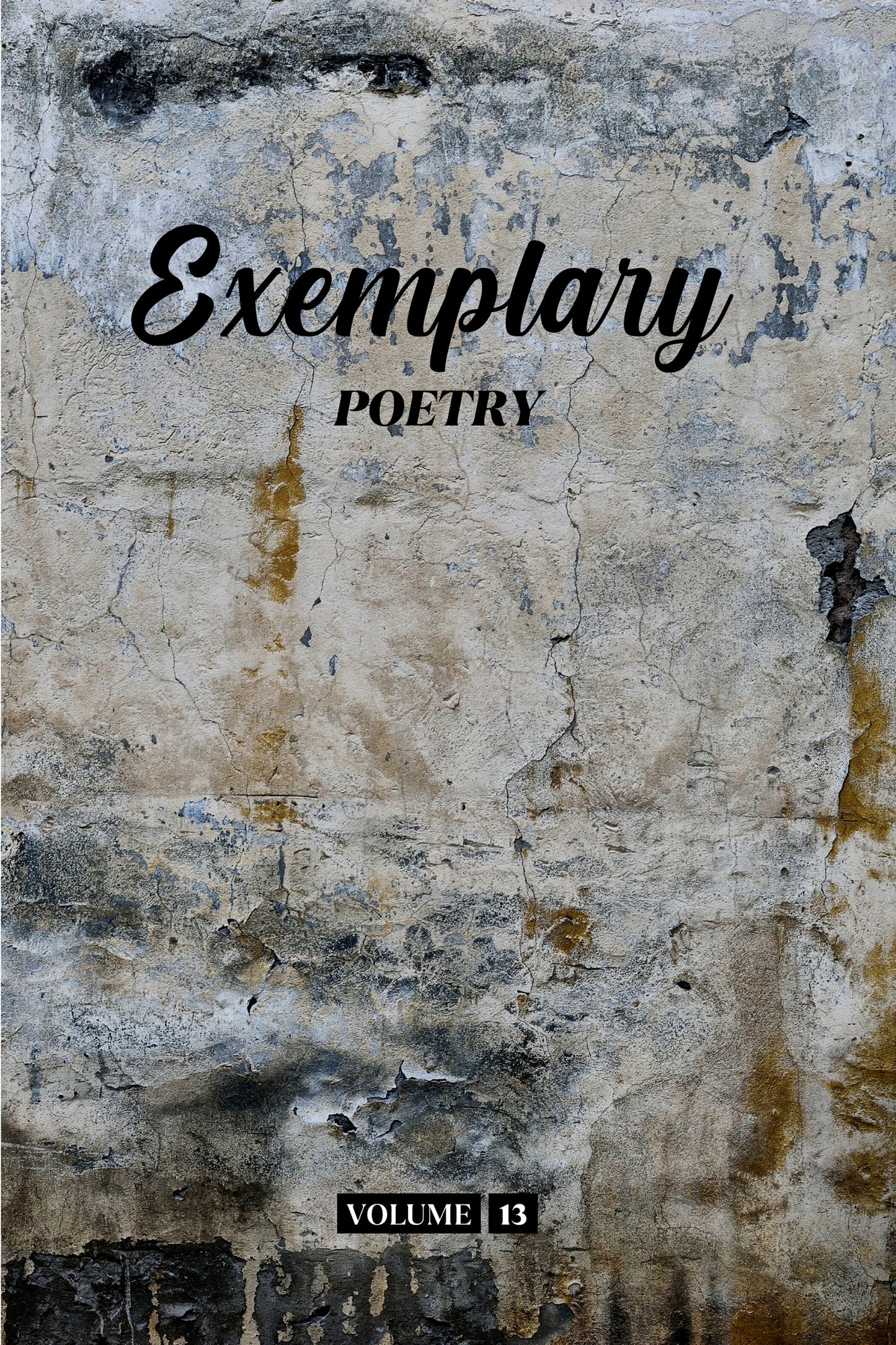 Exemplary Poetry (Volume 13) - Physical Book