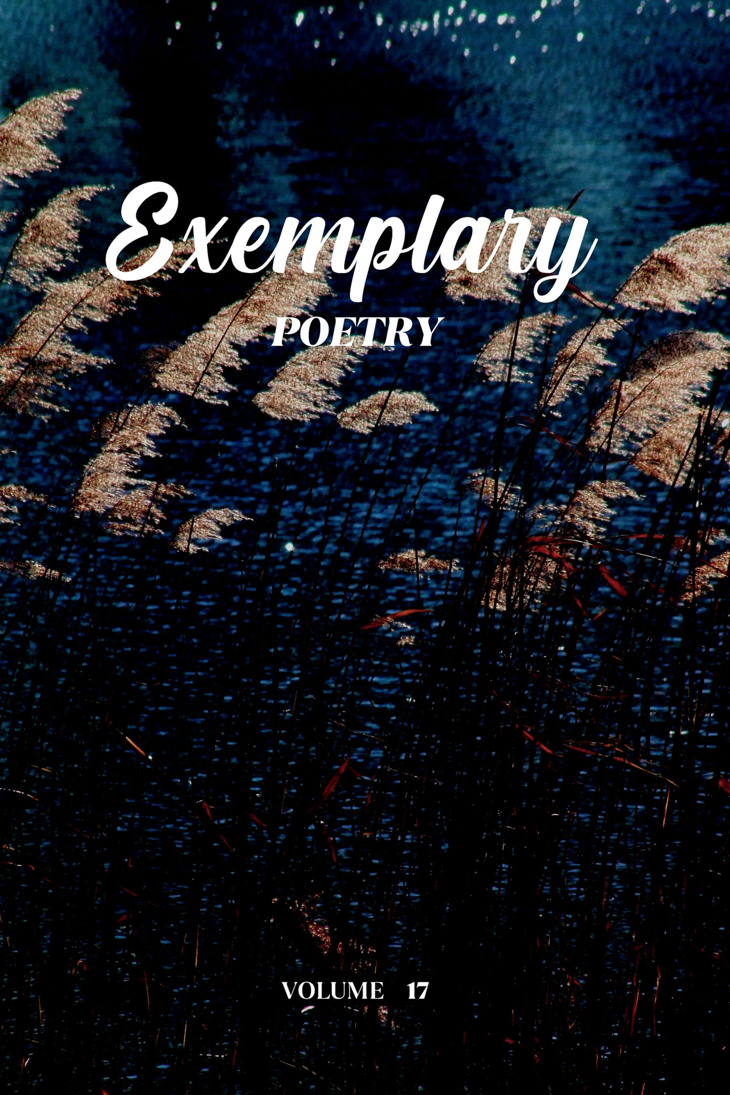 Exemplary Poetry (Volume 17) - Physical Book