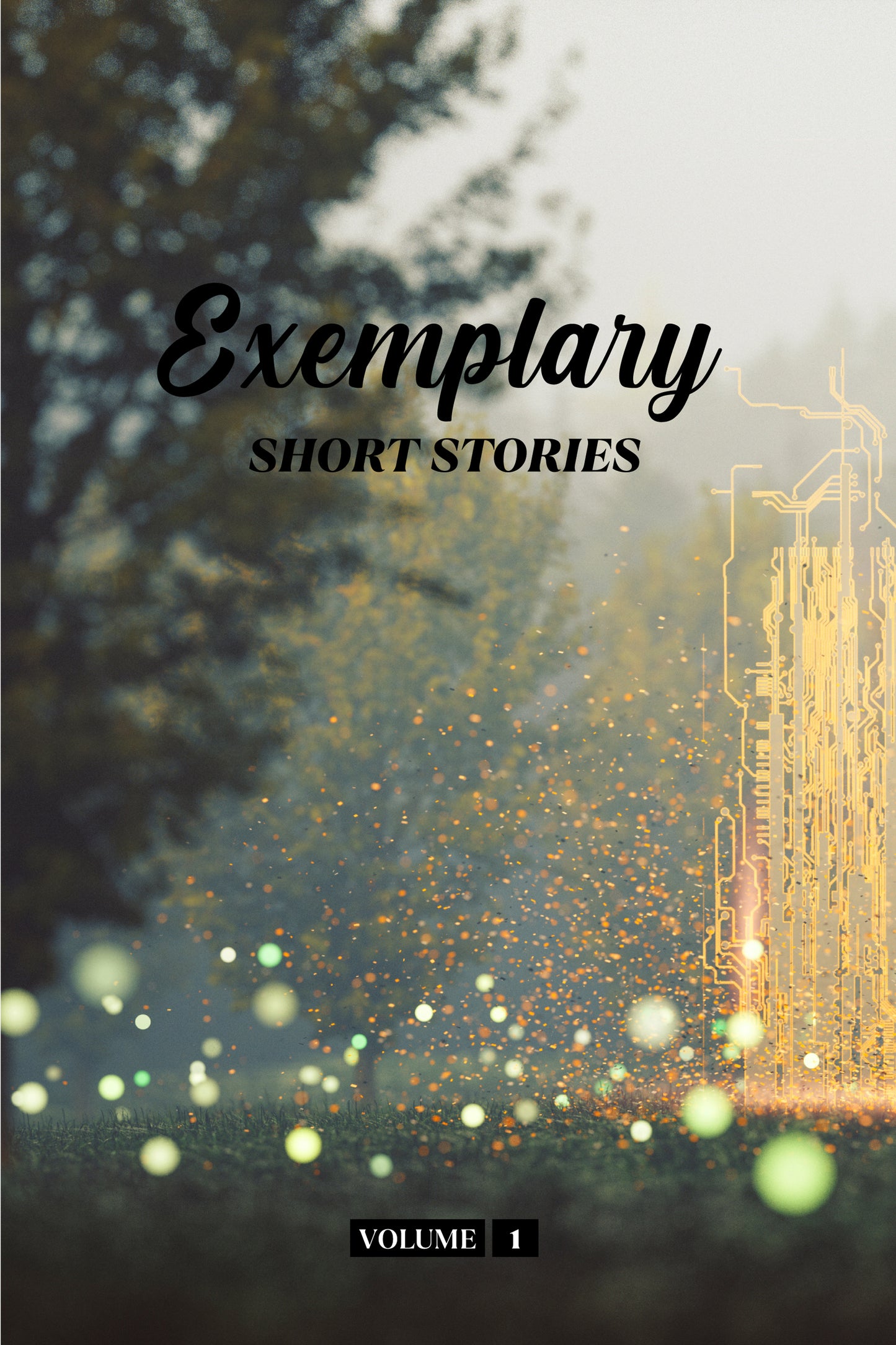 Exemplary Short Stories Volume 1 (Physical Book)