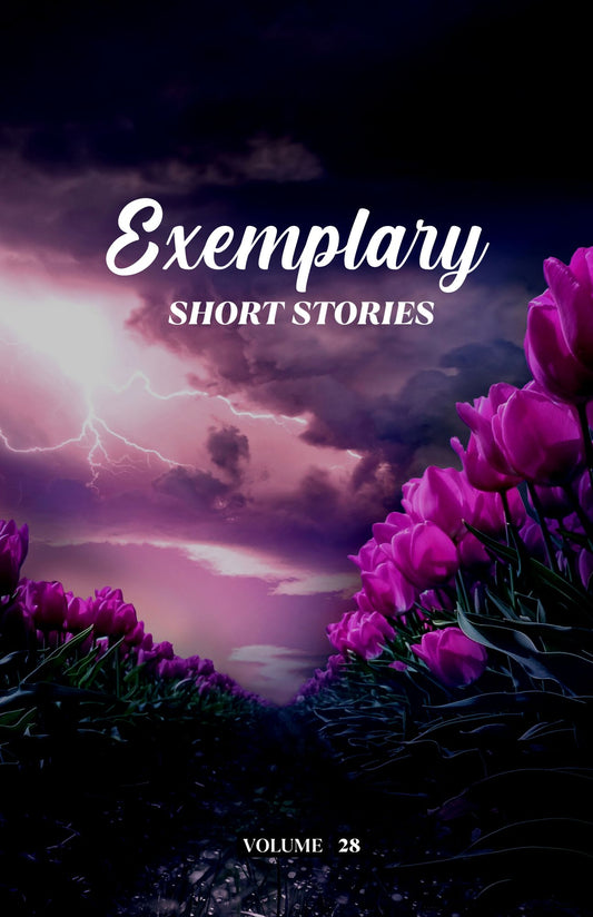 Exemplary Short Stories Volume 28 (Physical Book Pre-Order)