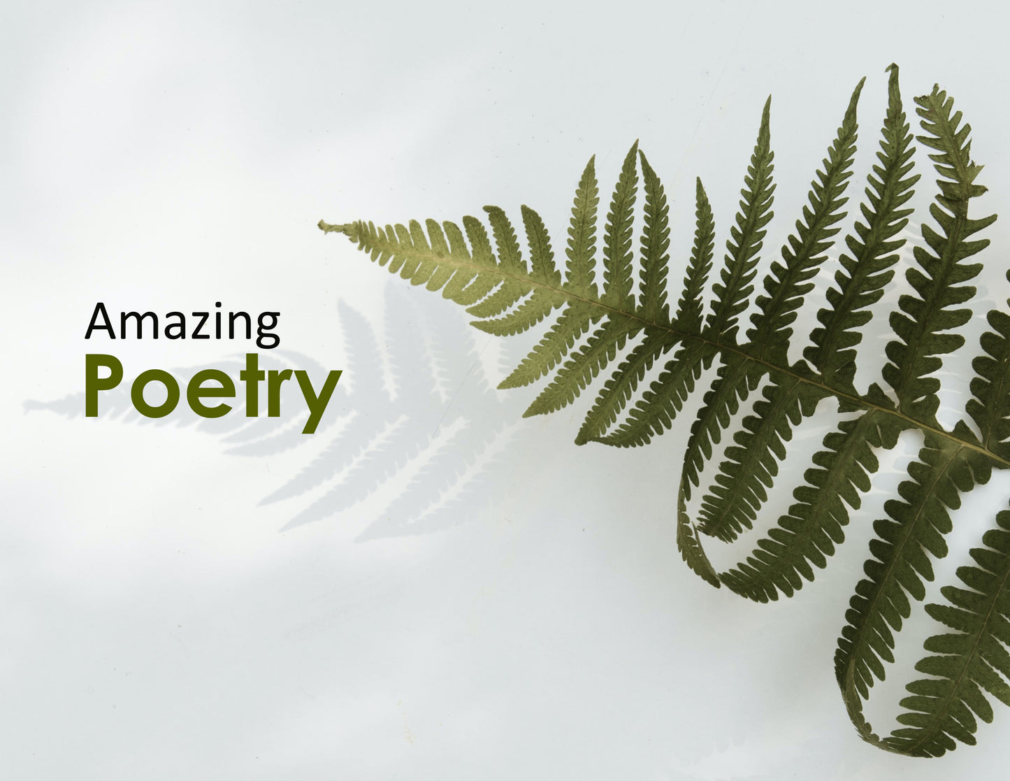Amazing Poetry