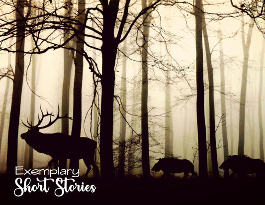 Exemplary Short Stories